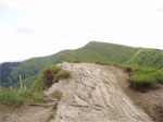 gal/2010/04 - Nel Parco delle foreste Casentinesi - 22 Maggio/02_Monte Penna/_thb_10_poggio_allo_spillo-01.jpg